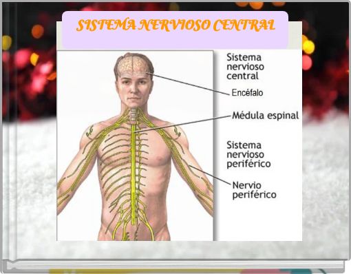 SISTEMA NERVIOSO CENTRAL