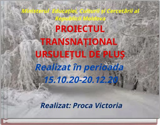 Ministerul Educației, Culturii și Cercetării al Republicii MoldovaPROIECTUL TRANSNAȚIONAL URSULEȚUL DE PLUȘRealizat î