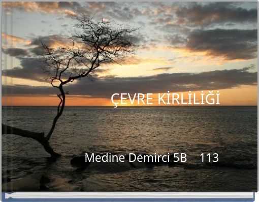 ÇEVRE KİRLİLİĞİ