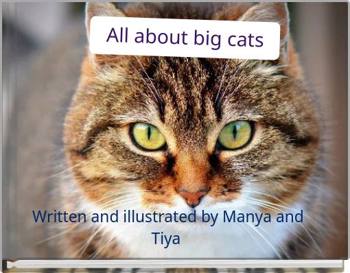 All about big cats