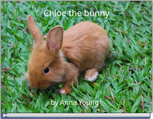 Chloe the bunny