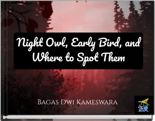 Night Owl, Early Bird, and Where to Spot Them