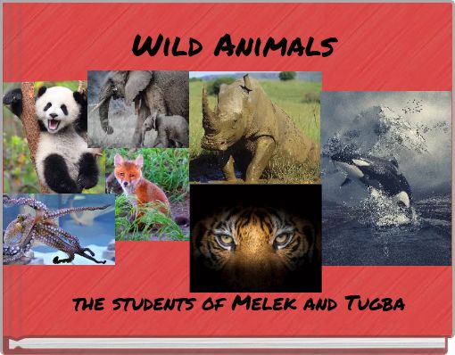 Wild Animals