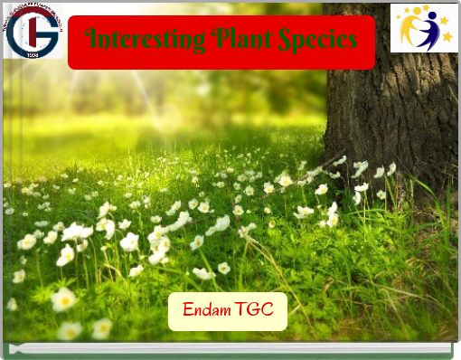 Interesting Plant Species