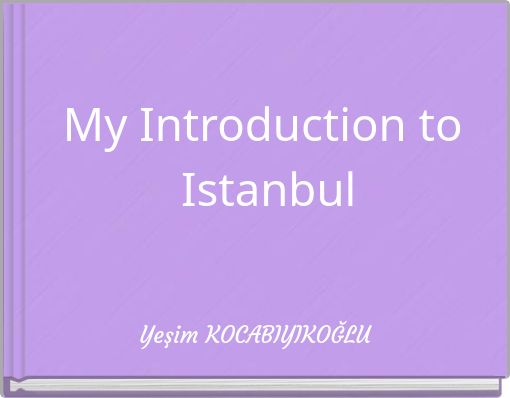 My Introduction to Istanbul