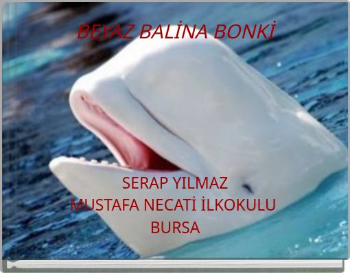 BEYAZ BALİNA BONKİ