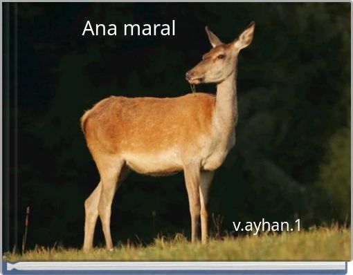 Ana maral