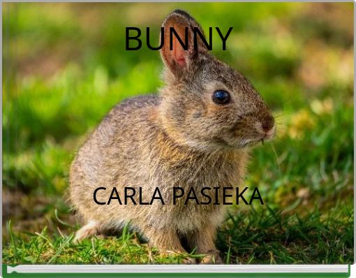 Front cover of 'BUNNY' 