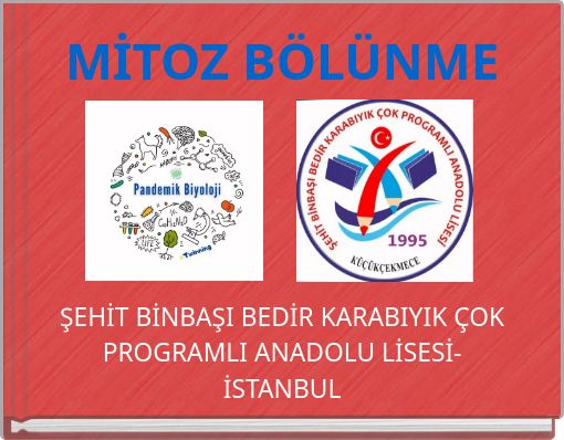 MİTOZ BÖLÜNME