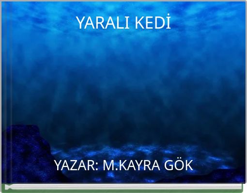 YARALI KEDİ