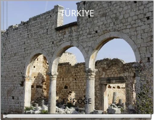 Front cover of 'TÜRKİYE' 
