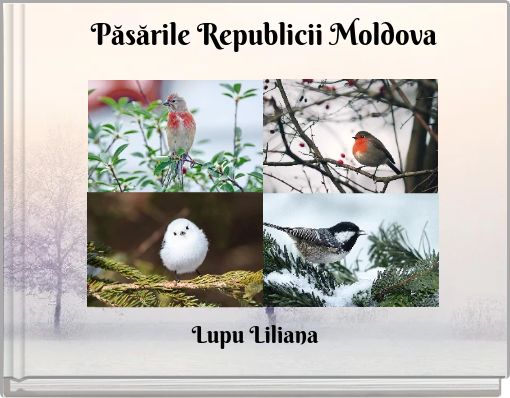 Book Cover for: Păsările Republicii Moldova