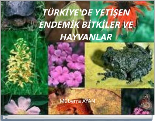 TÜRKİYE'DE YETİŞEN ENDEMİK BİTKİLER VE HAYVANLAR