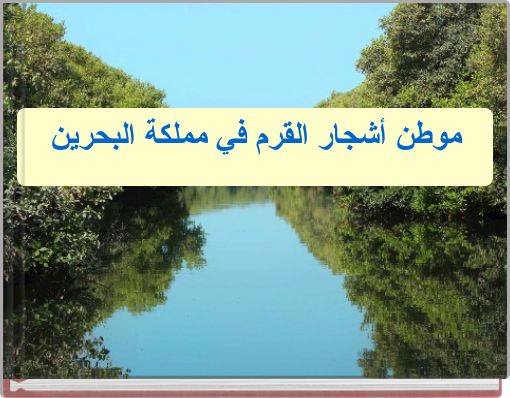 موطن أشجار القرم في مملكة البحرين