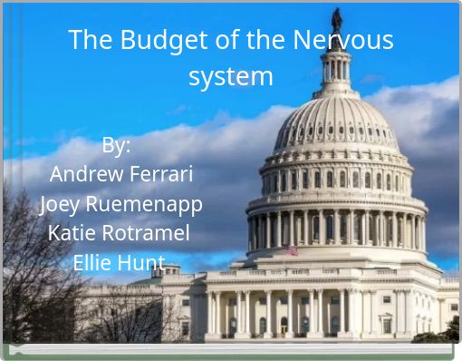 The Budget of the Nervous system