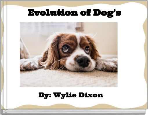 Evolution of Dog's
