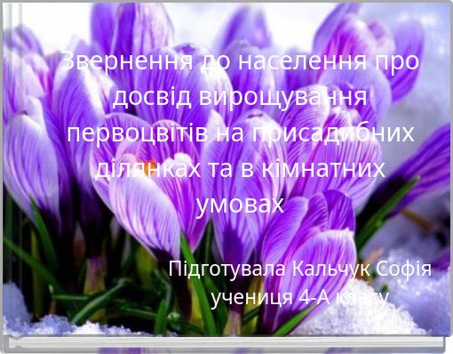 Звернення до населення про досвід вирощування первоцвітів на присадибних ділянках та в кімнатних умовах