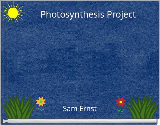 Photosynthesis Project