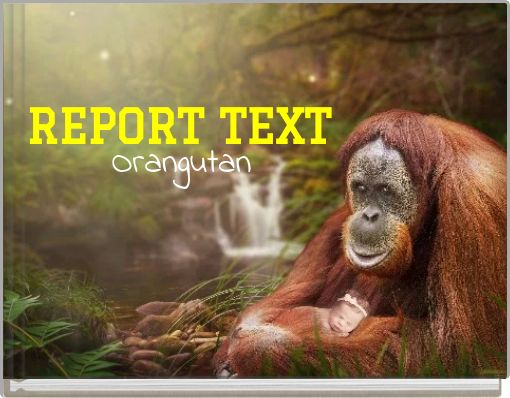 Front cover of 'REPORT TEXT' 