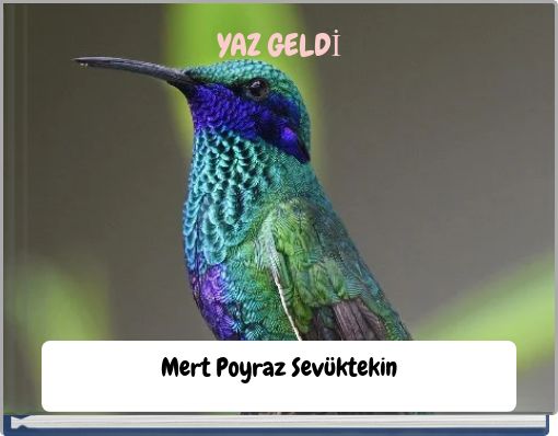 Front cover of 'YAZ GELDİ' 