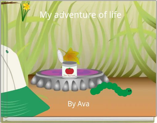 My adventure of life