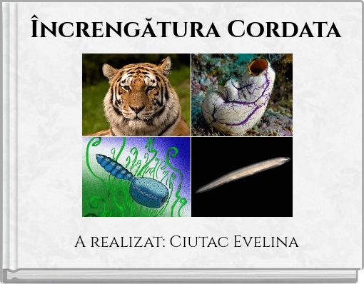 Încrengătura Cordata