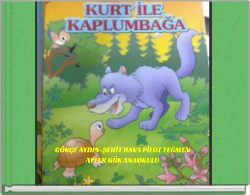 G&Ouml;K&Ccedil;E AYDIN-ŞEHİT HAVA PİLOT TEĞMEN AYFER G&Ouml;K ANAOKULU