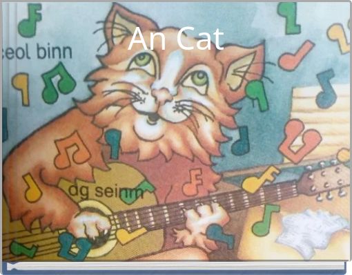 An Cat