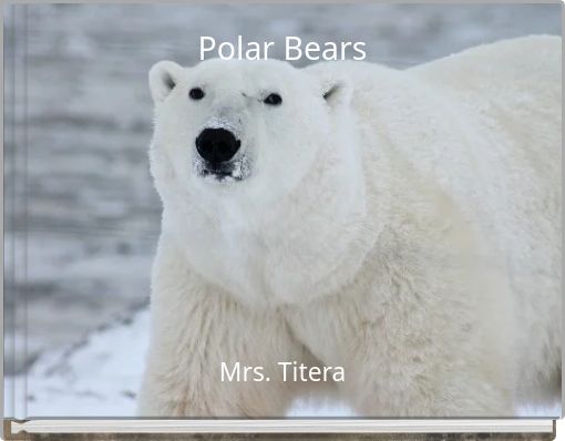 Polar Bears