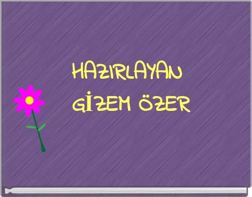 HAZIRLAYAN GİZEM &Ouml;ZER