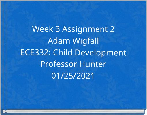 Week 3 Assignment 2 Adam Wigfall ECE332: Child Development Professor Hunter 01/25/2021