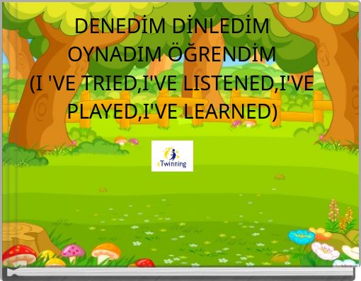 DENEDİM DİNLEDİM OYNADIM ÖĞRENDİM (I 'VE TRIED,I'VE LISTENED,I'VE PLAYED,I'VE LEARNED)