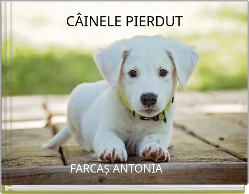 CÂINELE PIERDUT
