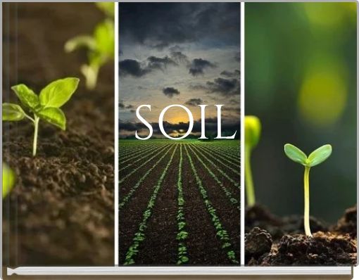 SOIL