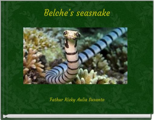 Belche's seasnake