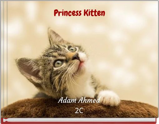 Princess Kitten