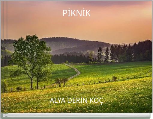 PİKNİK