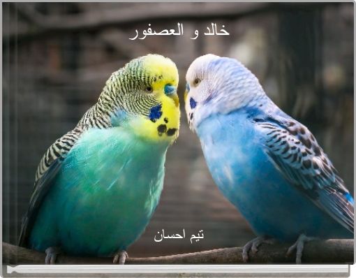 خالد و العصفور