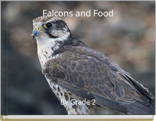 Falcons and Food