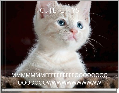 CUTE KITTYS