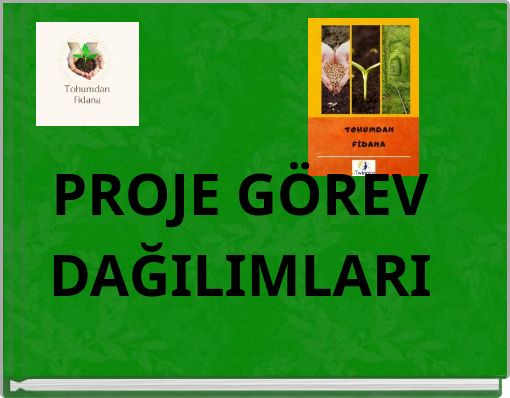 PROJE GÖREV DAĞILIMLARI