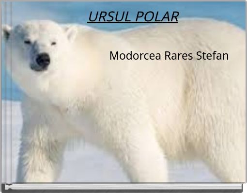 URSUL POLAR