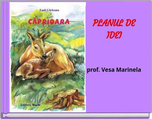 PLANUL DE IDEIprof. Vesa Marinela