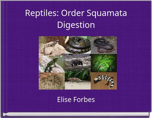 Reptiles: Order Squamata Digestion